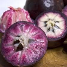 vú sữa mica