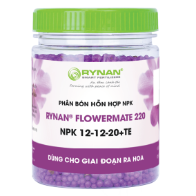 phân tan chậm thông minh