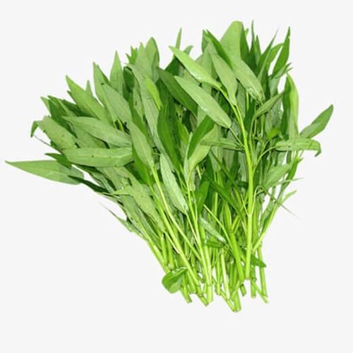 rau muống