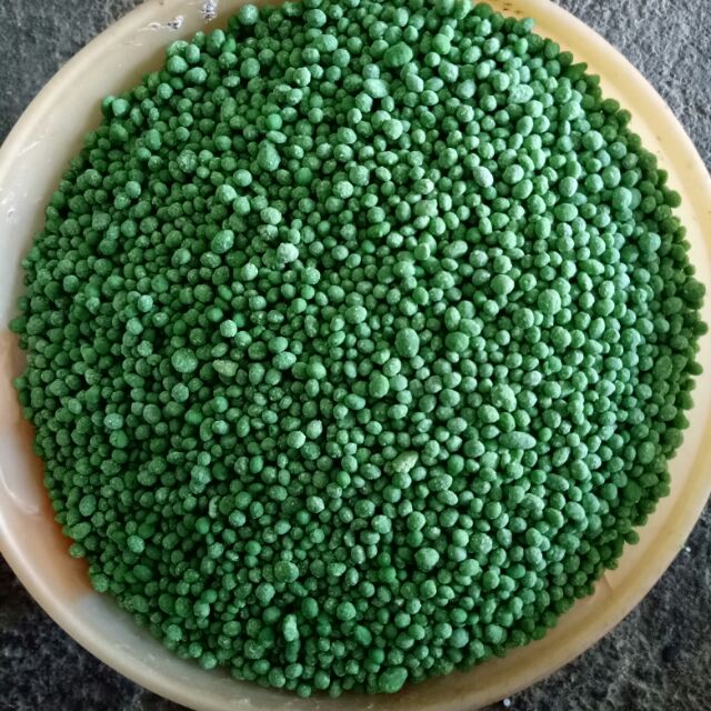 phân DAP