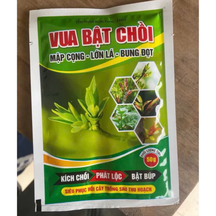 VUA BẬT CHỒI